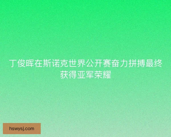 丁俊晖在斯诺克世界公开赛奋力拼搏最终获得亚军荣耀