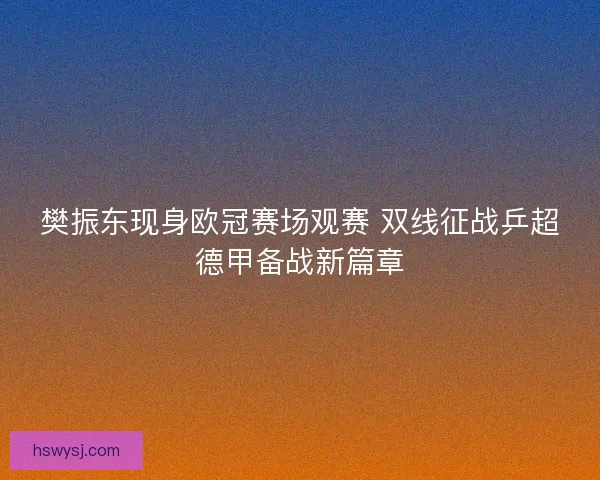 樊振东现身欧冠赛场观赛 双线征战乒超德甲备战新篇章