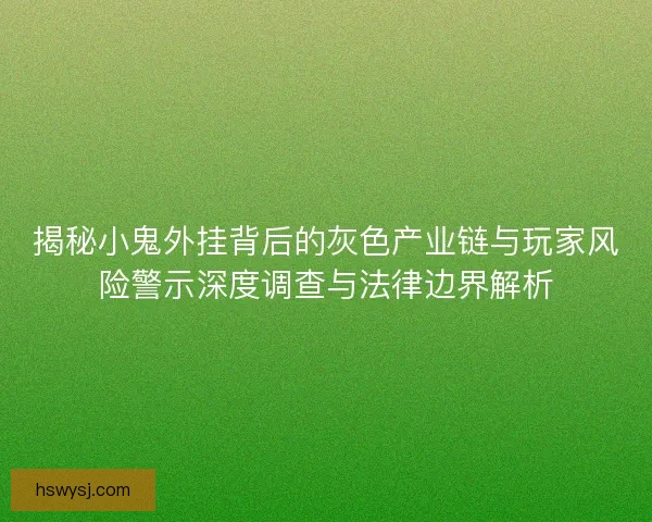 揭秘小鬼外挂背后的灰色产业链与玩家风险警示深度调查与法律边界解析